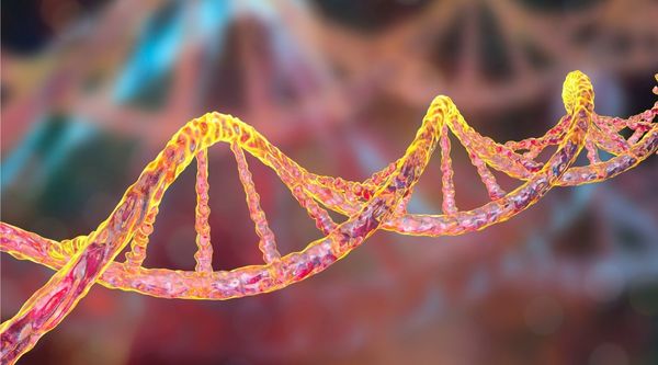 diagnostico del trastorno antisocial de personalidad