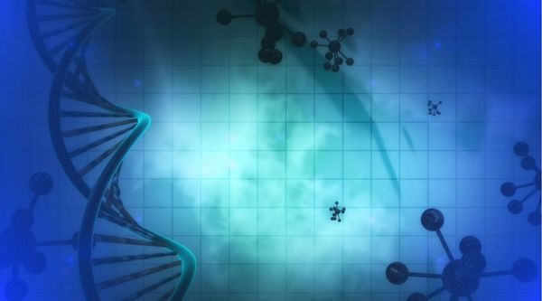 Factores genéticos del trastorno esquizoide de la personalidad