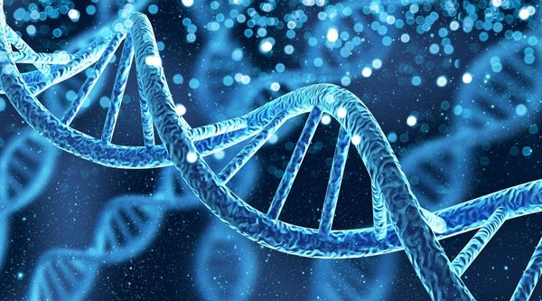 Trastorno evitativo de la personalidad