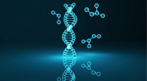 trastorno paranoide de la personalidad